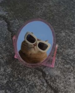 Bubusie